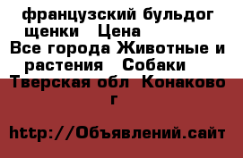 французский бульдог щенки › Цена ­ 50 000 - Все города Животные и растения » Собаки   . Тверская обл.,Конаково г.